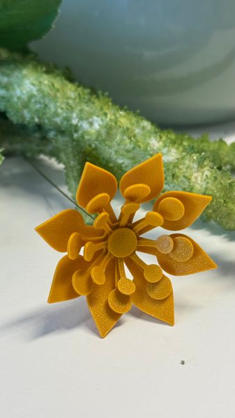 Hovedbilde Blomst sennep