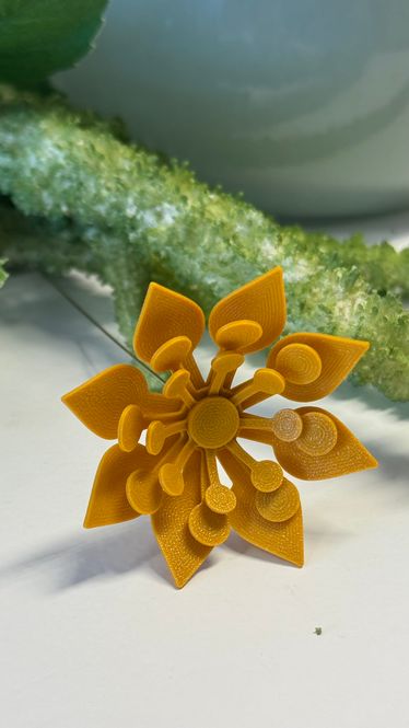 Hovedbilde Blomst sennep